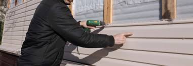 Best Custom Trim and Detailing for Siding  in Lake St Louis, MO